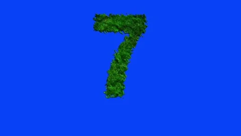 Number animation with grass texture on blue screen. Stock-Footage 336632352