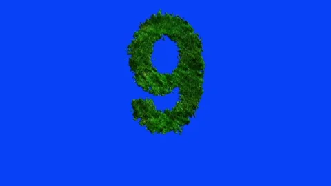 Number animation with grass texture on blue screen. Stock Footage 336632399