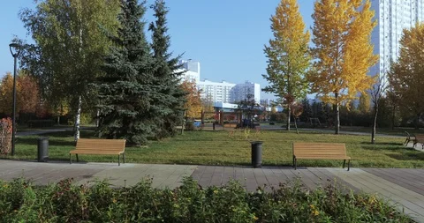 A number of benches in the park Stock Footage 97161522