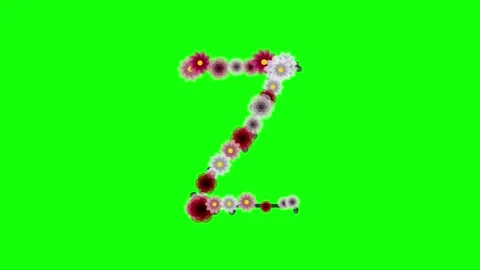 Number Dynamic on Chroma Key for Compositing Stock Footage 337996503