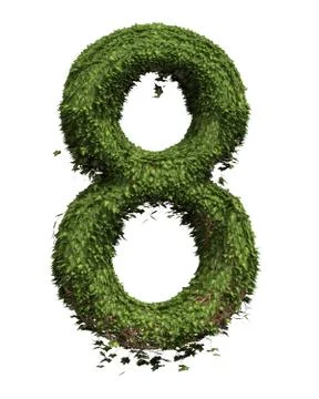 The Number Eight - Ivy Stock Illustration