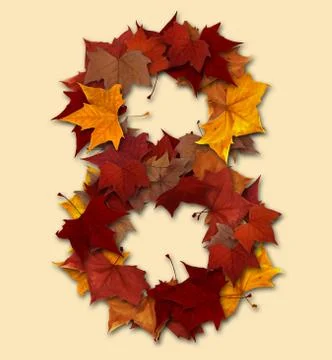 Number eight multicolored fall leaf composition isolated Stock Illustration