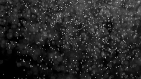 Number of Falling Snowflakes Increases HD Stock Footage 342065205