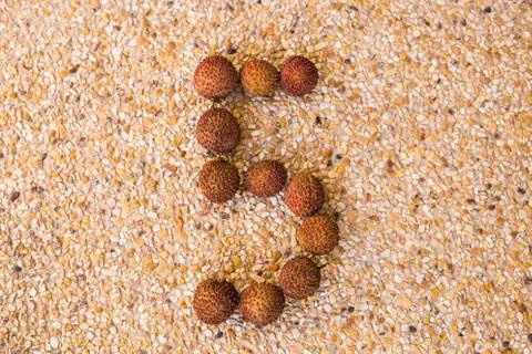 The number five 5 made out of fruit lichee Foto stock