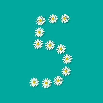 Number five from white chamomile flowers. Stockillustratie