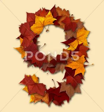 Number nine multicolored fall leaf composition isolated Stock Illustration