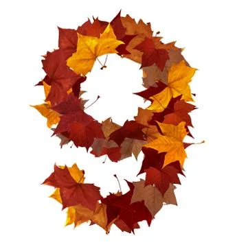 Number nine multicolored fall leaf composition isolated 스톡 일러스트