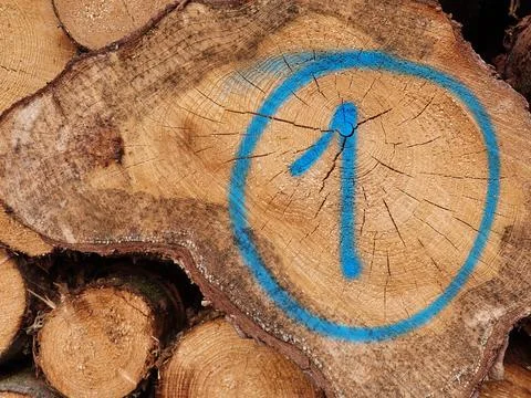 The number one, written on the cross section of a firewood log, close up Stock Photos