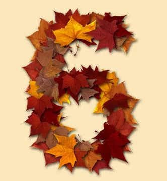 Number six multicolored fall leaf composition isolated 스톡 일러스트