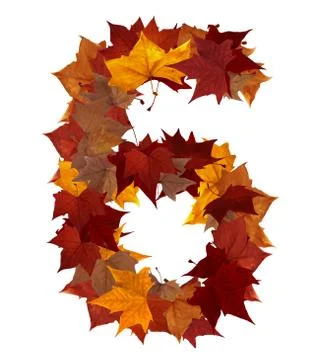 Number six multicolored fall leaf composition isolated Stock Illustration