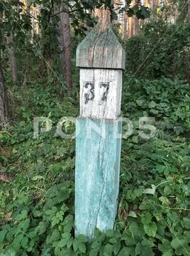 Number thirty seven on a wooden signboard at garden Stock Photos