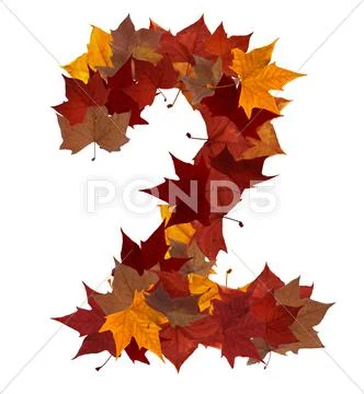 Number two multicolored fall leaf composition isolated Stock Illustration