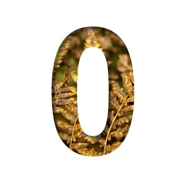 Number zero, 0 is cut from white paper with autumn fern leaves background, la Stock Photos