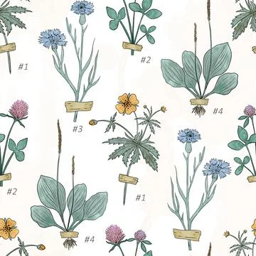 Numbered Botanical Specimen Seamless Pattern on Ivory. Vintage herbarium Stock Illustration