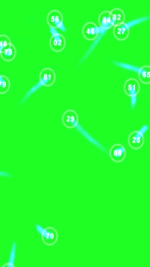 Numbered circles randomly distributed on green screen vertical video Vídeo Stock 316793295