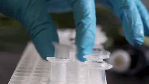 Numbered test tubes Stock Footage 101033672