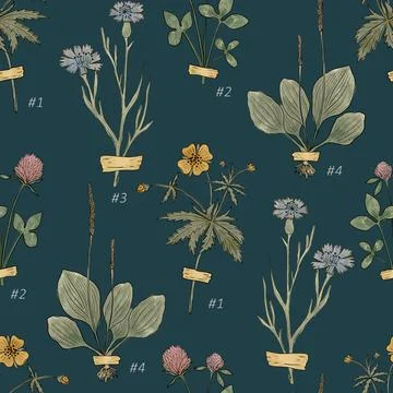 Numbered Vintage Herbarium Seamless Pattern on Dark Teal. Antique botanical Illustrazione stock