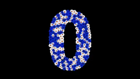 Numbers 0 - 9 made of cornflowers and white daisy flowers Stock Footage 76261391