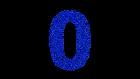 Numbers 0 - 9 made of cornflowers Stock Footage 76261574