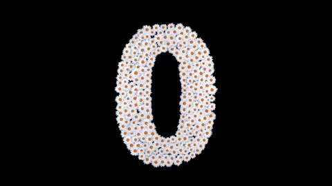 Numbers 0 - 9 made of white daisy flowers Stock Footage 76242754