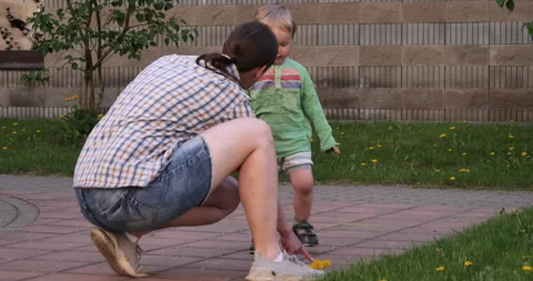 Numbers with Delight: Learning to Count Dandelions in Nature's Classroom Stock Footage 242459481