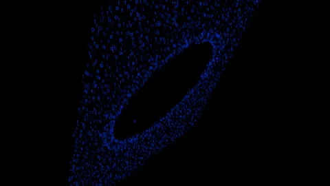 Numbers flying from the black circle video animated background Stock Footage 343345930