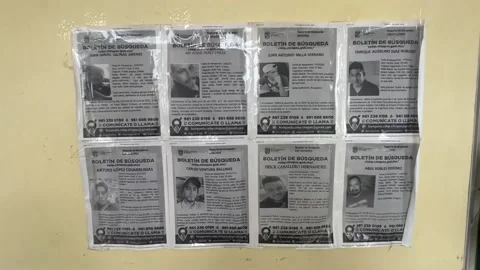 Numbers of missing persons increase in southeastern Mexico, NGO says, México, MX Stock Footage 271726721