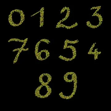 Numbers of raw green coffee beans template Stock Illustration