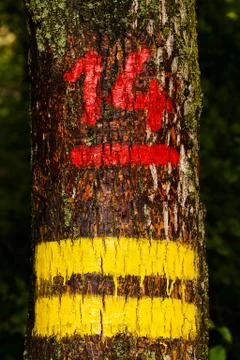 Numbers on trees Stock Photos