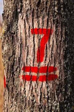 Numbers on trees Stock Photos