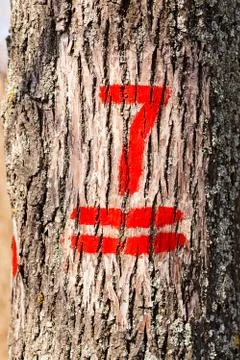 Numbers on trees Stock Photos