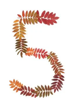 Numeral five 5 put from autumn sheet Stock Photos