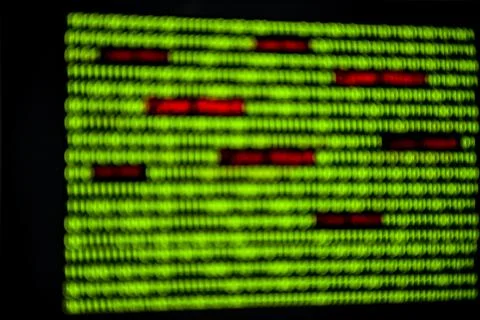 Numerical continuous code in green color, abstract web data in binary code.Pr Stock Photos
