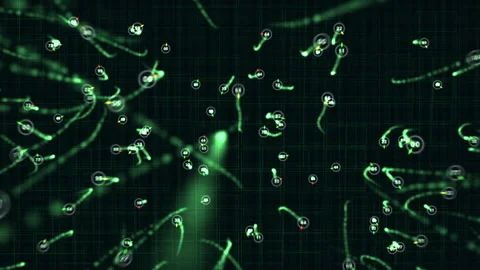 Numerical Visualization of Digital Structures Representing Technology Video stock 309517768