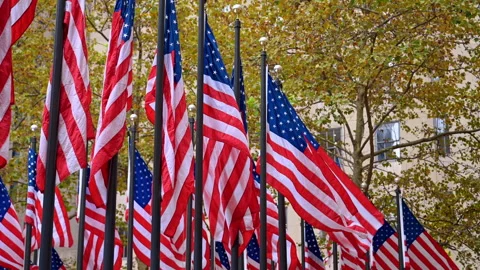Numerous American flags on the poles flapping in the wind. Low angle view. Vidéo 321538478