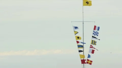 Numerous flags fluttering in the wind. Russian Empire flag at the head Stock Footage 71381060