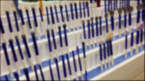 Numerous makeup brushes displayed in organized rows, their details softened by Stock Footage 341657685