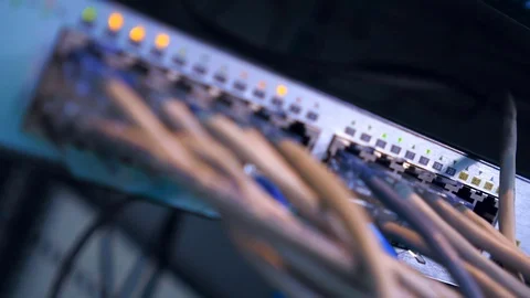 Numerous rows of wires and flashing lights of the server in the data center Stock Footage 71648166