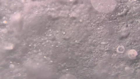 Numerous tiny air bubbles and small particles drift underwater through moving se Stock Footage 345880603