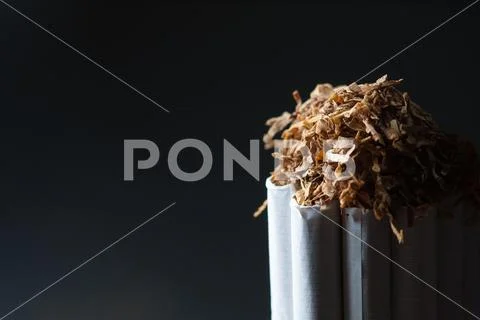 Numerous tobacco cigarettes isolated on black background with shredded tobacc Stock Photos