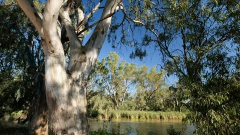 Numurkah Lake Video stock 91233923