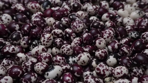 Nuna Peruvian Popping Beans Stock Footage 236187290