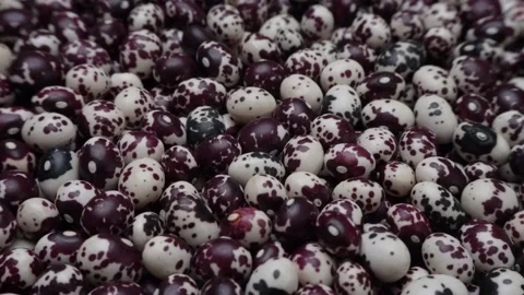 Nuna Peruvian Popping Beans Stock Footage 236187304