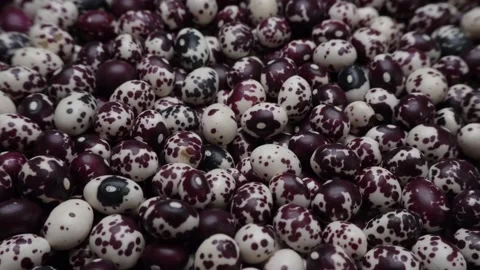 Nuna Peruvian Popping Beans Stock Footage 236187314