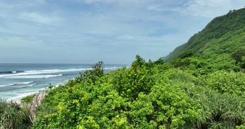 Nunggalan Beach Stock Footage 233545210