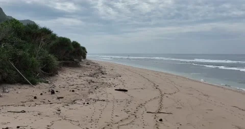 Nunggalan Beach Stock Footage 233761275