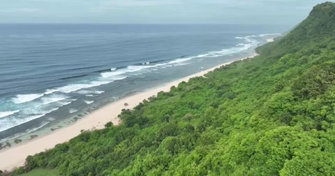 Nunggalan Beach Stock Footage 233761287