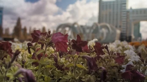 Nur-Sultan Stock Footage 88073769