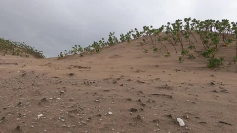 Nurdles (plastic pellets) and plastic pollution littered on beach dune Stock Footage 157287472