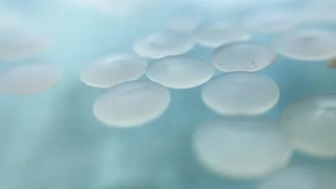 Nurdles (plastic pellets) float towards camera Stock Footage 157694934